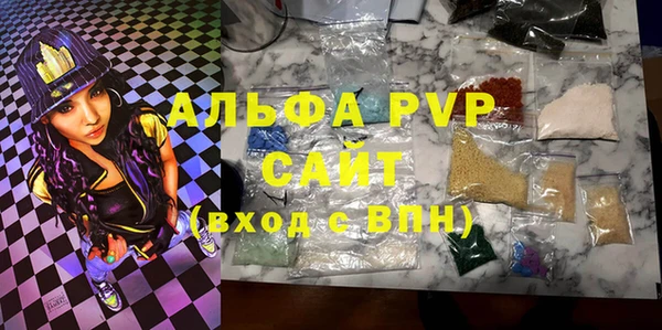 стаф Алзамай