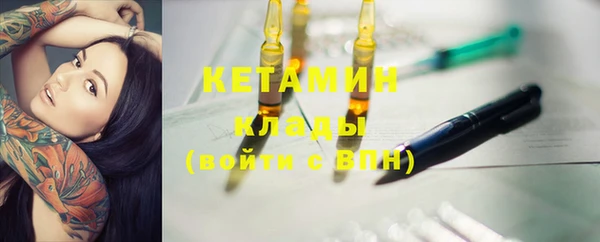 стаф Алзамай