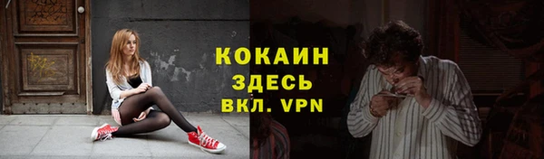стаф Алзамай